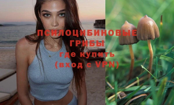 мефедрон мука Киреевск
