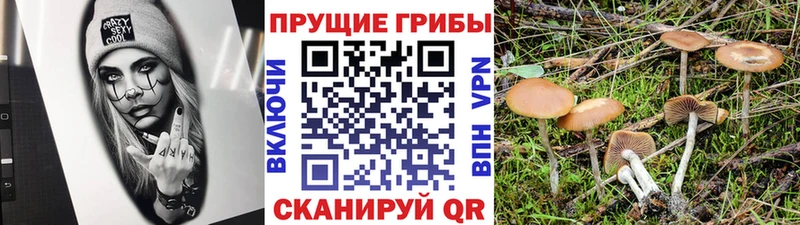 Галлюциногенные грибы Magic Shrooms  Гаджиево 